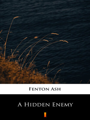 cover image of A Hidden Enemy